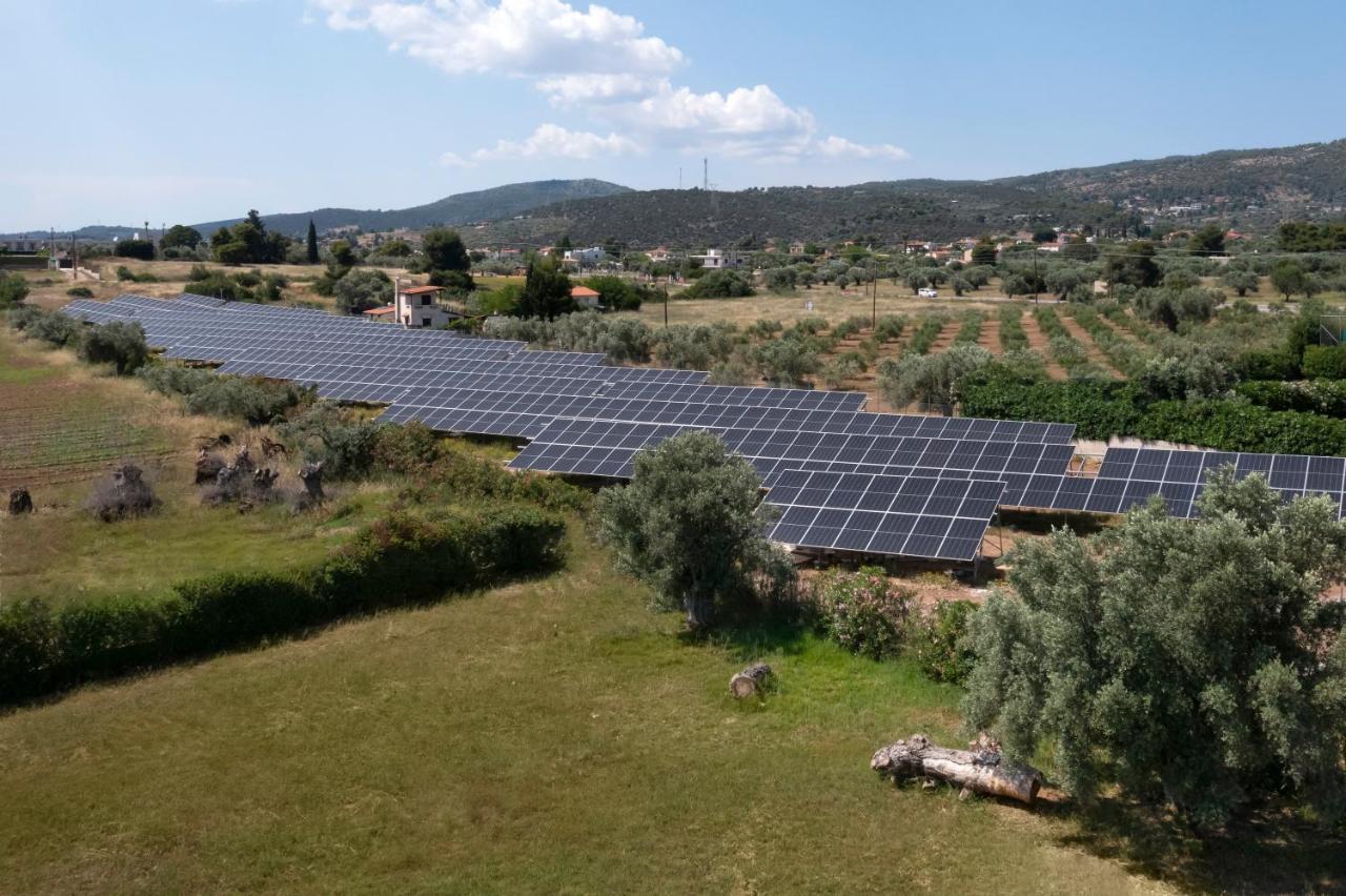 Negroponte Resort Eretria Eksteriør bilde